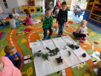 Zdjęcie: Nasze zajęcia
