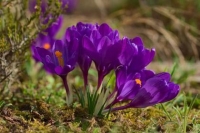 Zdjęcie: Piątek, 16.04.2021r.