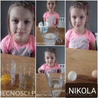 Zdjęcie: PRACUJEMY W DOMU - GALERIA ZDJĘĆ