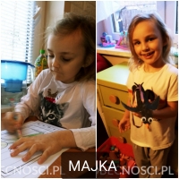 Zdjęcie: PRACUJEMY W DOMU - GALERIA ZDJĘĆ