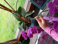 Zdjęcie: Zdjęcia z zajęć wykonywanych w domu 12,13,15.04.2021