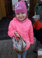 Zdjęcie: Zajączek.