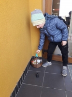 Zdjęcie: Zajączek.