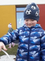 Zdjęcie: Zajączek.
