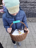 Zdjęcie: Zajączek.
