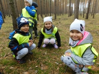 Zdjęcie: Wycieczka do lasu