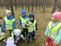 Zdjęcie: Wycieczka do lasu