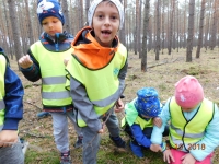 Zdjęcie: Wycieczka do lasu