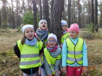 Zdjęcie: Wycieczka do lasu