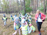 Zdjęcie: Wycieczka do lasu
