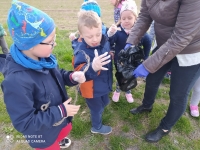 Zdjęcie: Sprzątanie świata