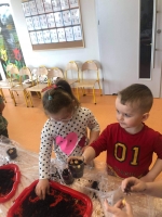 Zdjęcie: Warsztaty przyrodnicze.