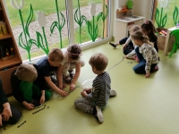 Zdjęcie: Podziękowanie