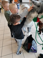 Zdjęcie: Spotkanie z Alpakami