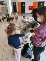 Zdjęcie: Spotkanie z Alpakami