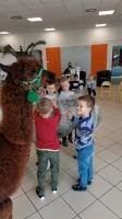 Zdjęcie: Spotkanie z Alpakami