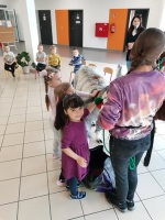 Zdjęcie: Spotkanie z Alpakami