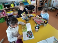 Zdjęcie: Tydzień z książką