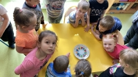 Zdjęcie: Kolory wiosny