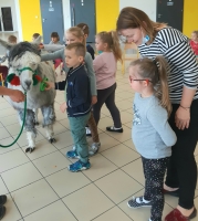 Zdjęcie: Spotkanie z alpakami