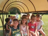 Zdjęcie: Piknik rodzinny
