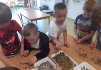 Zdjęcie: Góra grosza-