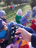 Zdjęcie: Wycieczka do sadu