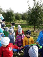 Zdjęcie: Wycieczka do sadu