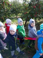 Zdjęcie: Wycieczka do sadu