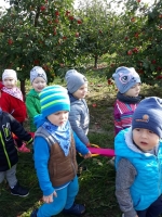 Zdjęcie: Wycieczka do sadu