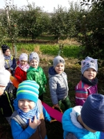 Zdjęcie: Wycieczka do sadu