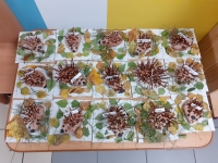 Zdjęcie: JEŻE