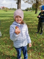 Zdjęcie: Przyszła do nas jesień