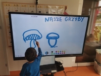 Zdjęcie: Przyszła do nas jesień