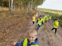 Zdjęcie: WYCIECZKA DO LASU