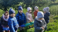 Zdjęcie: WYCIECZKA DO SADU