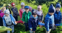 Zdjęcie: WYCIECZKA DO SADU