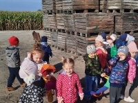 Zdjęcie: WYCIECZKA DO SADU