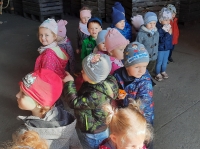 Zdjęcie: WYCIECZKA DO SADU
