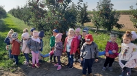 Zdjęcie: WYCIECZKA DO SADU