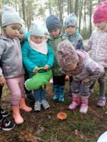 Zdjęcie: Wycieczka do lasu