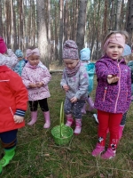 Zdjęcie: Wycieczka do lasu
