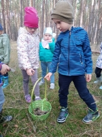 Zdjęcie: Wycieczka do lasu
