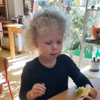 Zdjęcie: OWOCOWE SZASZŁYKI