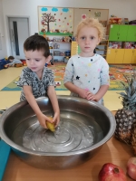 Zdjęcie: OWOCOWE SZASZŁYKI