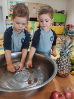 Zdjęcie: OWOCOWE SZASZŁYKI