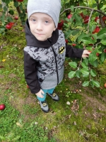 Zdjęcie: Jesień w sadzie.