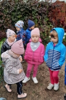 Zdjęcie: JESIENNA WYCIECZKA DO OGRODU WARZYWNEGO