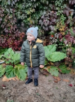 Zdjęcie: JESIENNA WYCIECZKA DO OGRODU WARZYWNEGO