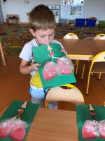 Zdjęcie: Nasze płuca.